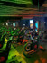 Imagem 5 da galeria do parceiro Go Bike Indoor