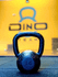 Imagem 3 da galeria do parceiro Dino Team CT