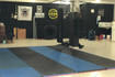 Imagem 3 da galeria do parceiro CT Alcateia