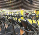 Immagine 4 dalla galleria del partner Just Club Di Cherchi Andrea