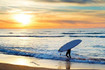Imagen 9 de la galería del partner SUP & SAIL