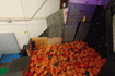 Image 5 from Shinobi School partner gallery