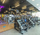 Imagem 6 da galeria do parceiro Academia Bluefit - Pinheiros