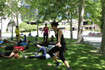 Imagen 1 de la galería del partner IMTrainer