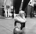 Image 2 from Raw Performance Omagh partner gallery