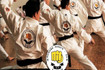 Imagen 5 de la galería del partner Okinawa Karate Do Santa Fe