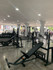 Imagem 2 da galeria do parceiro Premium Light