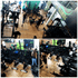 Imagem 3 da galeria do parceiro WNS Fit