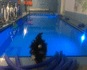 Immagine 7 dalla galleria del partner Blufitness Aquawellness