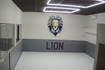 Imagem 3 da galeria do parceiro Lion