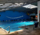 Imagen 2 de la galería del partner Club Montego