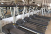 Imagem 3 da galeria do parceiro Academia Bem Estar Fitness Triunfo
