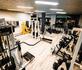 Immagine 1 dalla galleria del partner ASD Muscle Lab