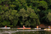 Imagem 5 da galeria do parceiro Trip Canoa Clube