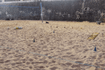 Imagem 3 da galeria do parceiro Escolinha De Futevôlei Porto Da Barra