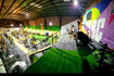 Imagen 3 de la galería del partner Le Parc