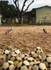 Imagem 5 da galeria do parceiro MucaTeam