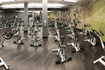 Image 3 from LA Fitness - STATEN ISLAND - FOREST AVE partner gallery