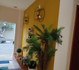 Imagem 6 da galeria do parceiro Equilíbrio do Corpo Studio Pilates