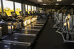Image 1 from Olympia Gym & Fitness Center partner gallery