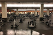 Image 4 from LA Fitness - YONKERS partner gallery