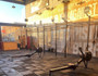 Imagem 3 da galeria do parceiro CF01 - Community Fitness