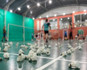 Imagem 5 da galeria do parceiro Global Badminton