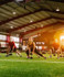 Image 4 from D1 Training Burlington partner gallery