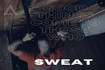 Imagen 2 de la galería del partner Aren Fitness By Box Dogs