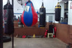 Imagen 5 de la galería del partner Sparring Dojo