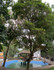 Imagem 4 da galeria do parceiro 98 Arcoverde