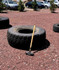 Image 7 from TK Training partner gallery