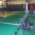 Image 4 from CrossFit Stallings partner gallery