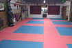 Imagen 1 de la galería del partner Academia Internacional Xtreme Kenpo Fitness