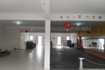 Imagem 1 da galeria do parceiro Liga Garra de Águia São Mateus
