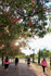 Imagen 4 de la galería del partner Nordic Walkers Juan Carlos I