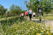 Imagen 2 de la galería del partner Nordic Walkers Valdelatas