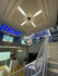 Imagem 1 da galeria do parceiro Academia Arena