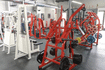 Image 8 from Deezel Muscle partner gallery