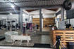 Imagem 2 da galeria do parceiro Tauros CT
