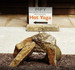 Image 4 from Manipura Power Yoga partner gallery