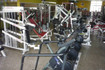 Imagen 1 de la galería del partner Bunker Gym