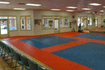 Image 2 from Karate America World Headquarters partner gallery