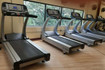 Image 3 from Interactive Fitness Gym partner gallery