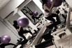 Imagen 2 de la galería del partner Lift Up Milenio
