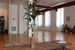 Image 1 from Shanti Yoga and Ayurveda partner gallery