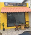 Imagem 1 da galeria do parceiro Wolffightss