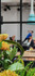 Imagen 3 de la galería del partner Francisco Yoga 1