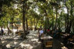 Imagem 5 da galeria do parceiro Calçadão SP - Pinheiros