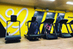 Imagem 3 da galeria do parceiro Alive Fitness